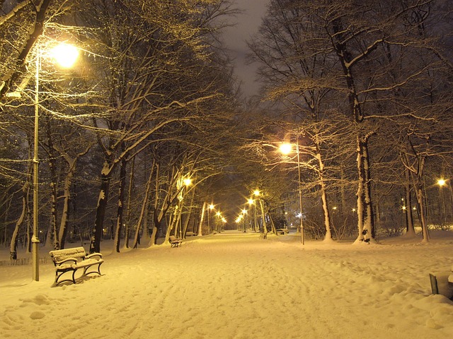Parc, Iarna, Noapte, Felinare, Zăpadă