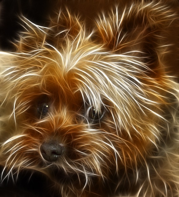 Free dog terrier animal illustration