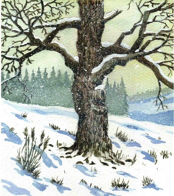 Aquarell, Natur, Malerei, Baum