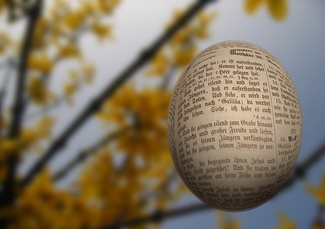 Free egg easter egg printed illustration