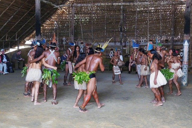brazil, rainforest, amazon, rio negro, indians, indian dance, regenwaldindianer, rainforest, rainforest, rainforest, amazon, amazon, amazon, amazon, amazon