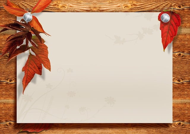 Free boards space leaves illustration