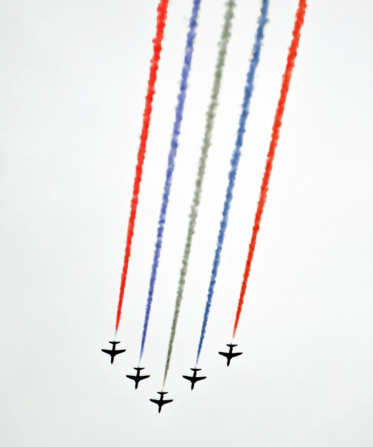 Free fly group army illustration