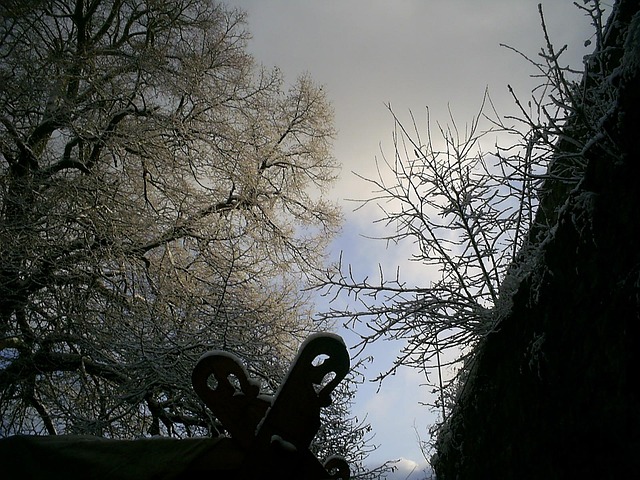Free Burg Herzberg Winter photo and picture
