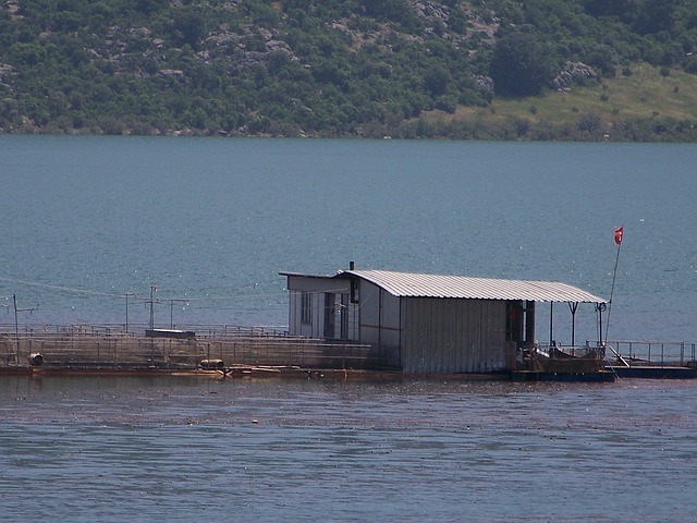 Free Adana Dam photo and picture