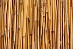 abstract, asian, background