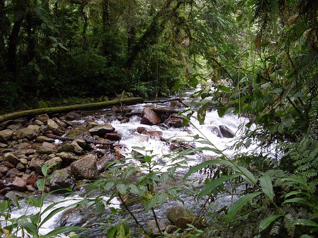Free River Landscape photo and picture