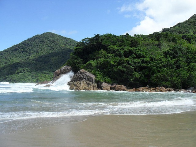 Free Beach Sand photo and picture