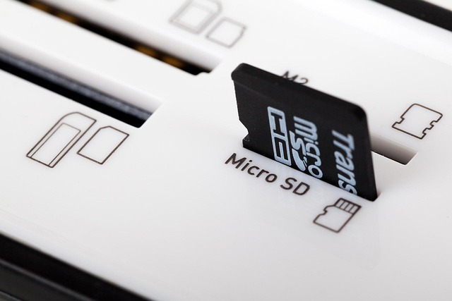 Free Sd Card Compact photo and picture