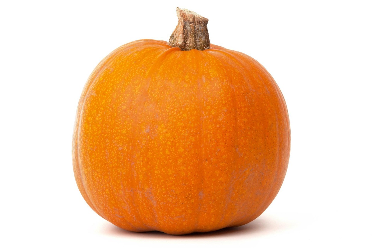 Autumn - free online jigsaw puzzle photo