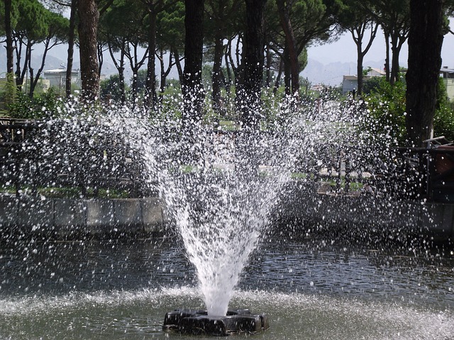 Free Gezi Pool photo and picture