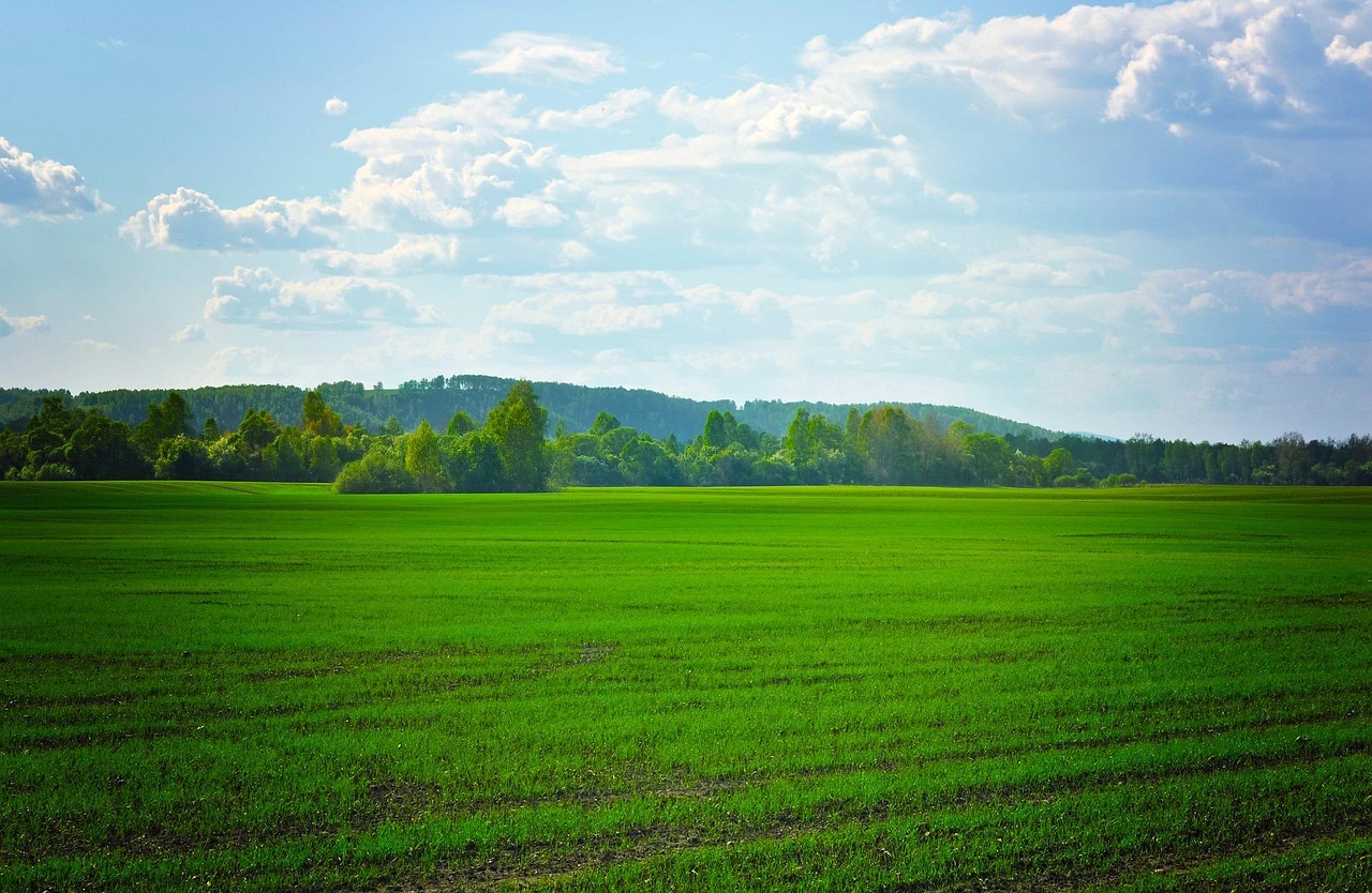 Fields Green Agriculture Free photo on Pixabay Pixabay