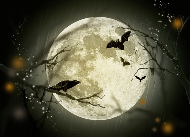 10 000 Kostenlose Gruselige Halloween Bilder Pixabay
