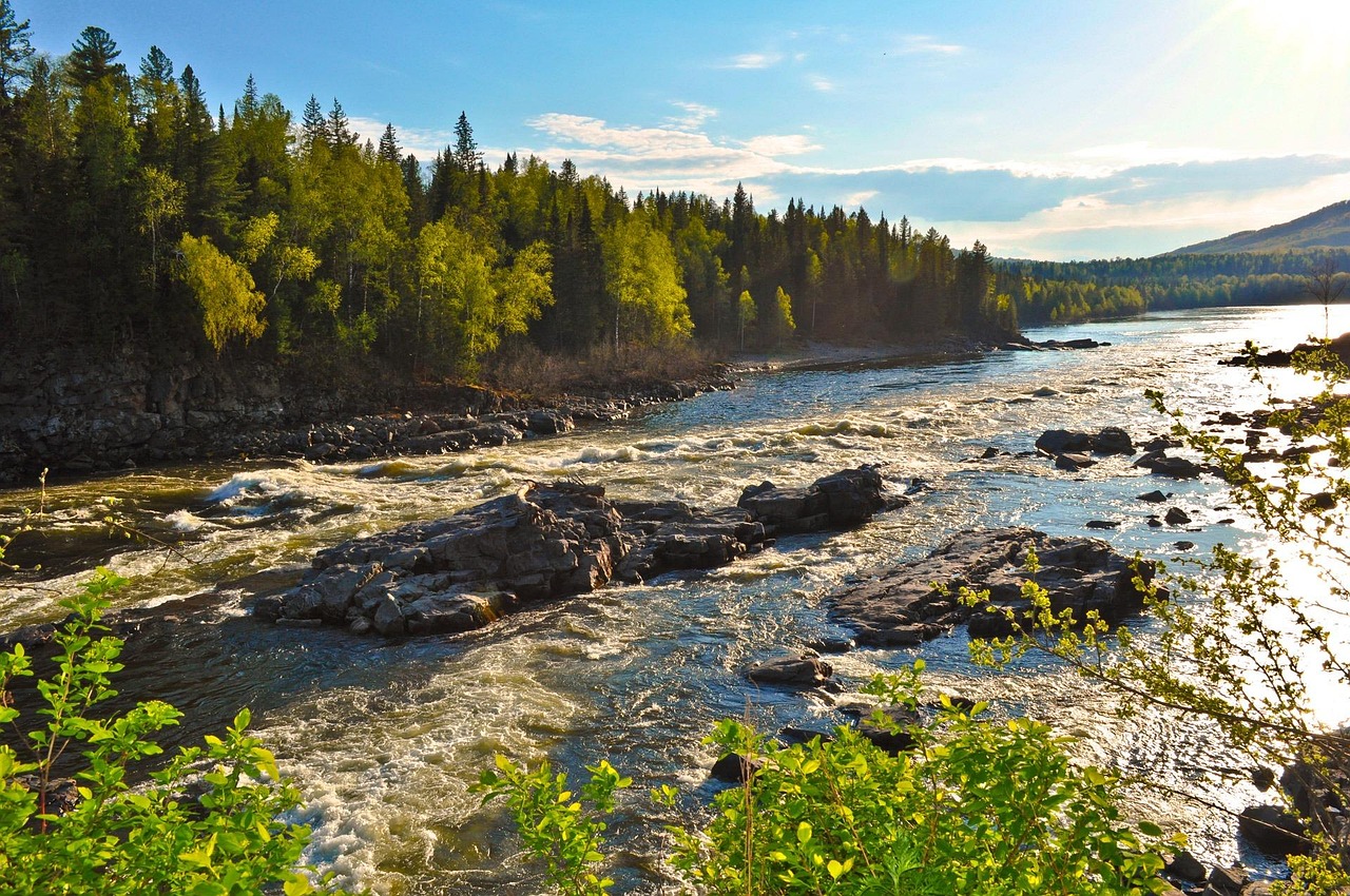 100+ Free Taiga &amp; Nature Images - Pixabay