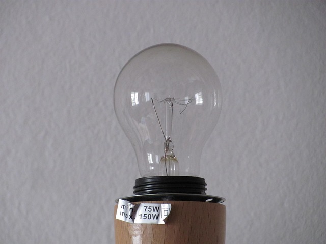 Free Lightbulb Light photo and picture
