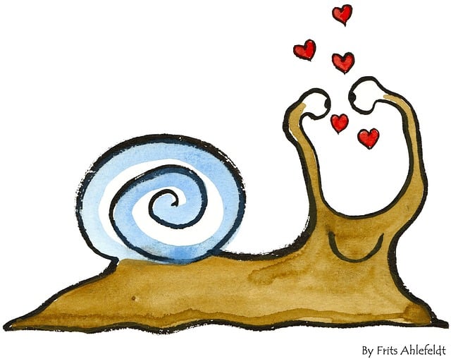 Caracol, Corazón, Animal, Divertido
