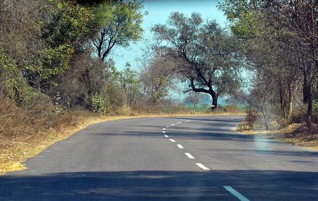 Free Turn Road photo and picture