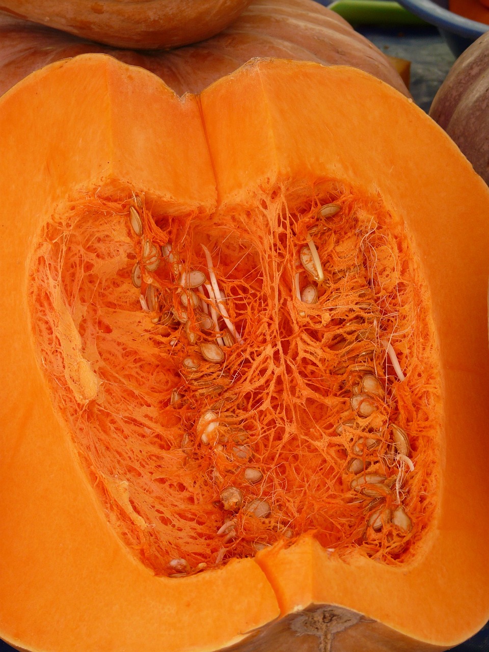 Pumpkin Cut Open Pulp Free photo on Pixabay Pixabay