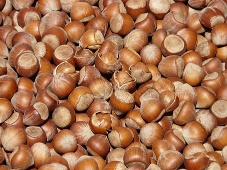 Nocciole Marrone Frutta A Guscio Open Conc