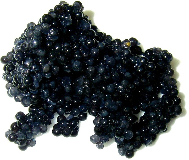 Free Caviar Spawn photo and picture