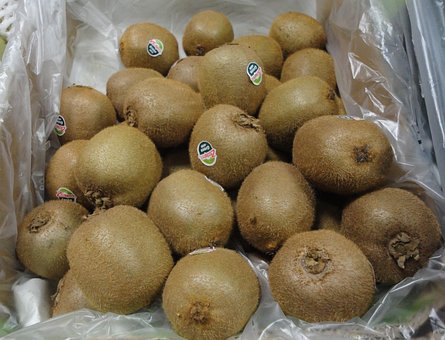 Free Kiwi Fruits photo and picture