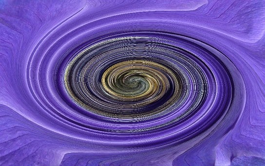 Free Anemone Flower illustration and picture