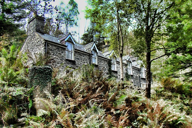 Free House Hill photo and picture
