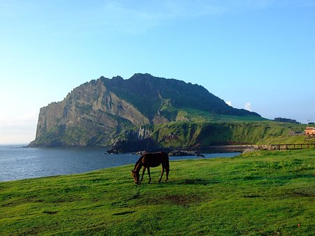 파산 변제금 점촌1동3