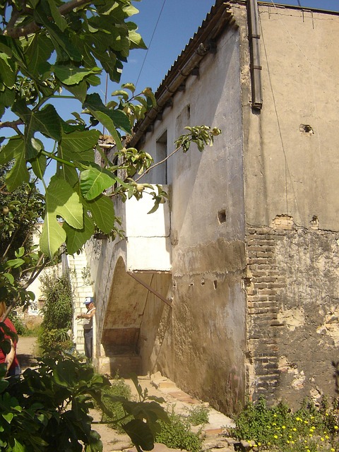 Free Farmhouse Casa Vieja photo and picture