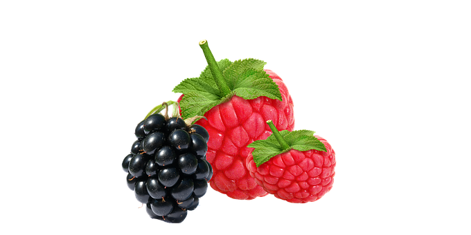 Free Raspberry Berry illustration and picture