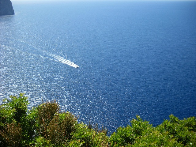 Free Sea Ocean photo and picture