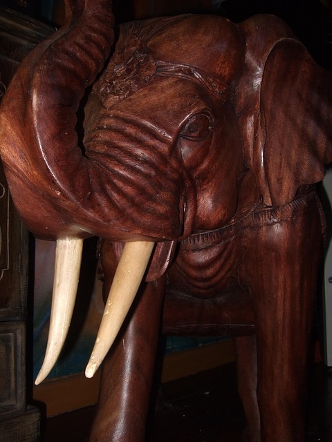 Free Elephant Africa photo and picture