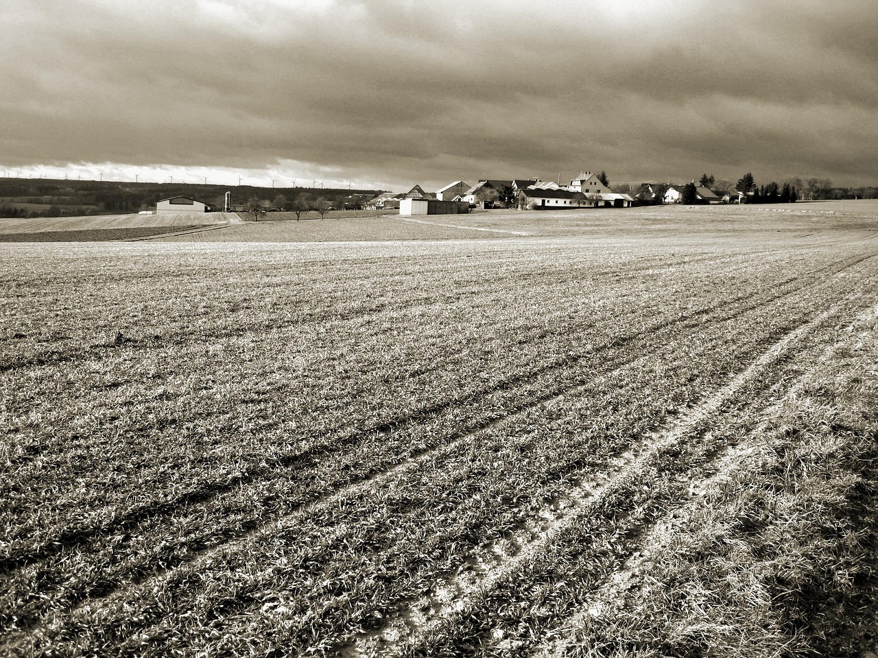 Farm - free online jigsaw puzzle photo