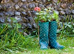 wellington boots, wellingtons, boots