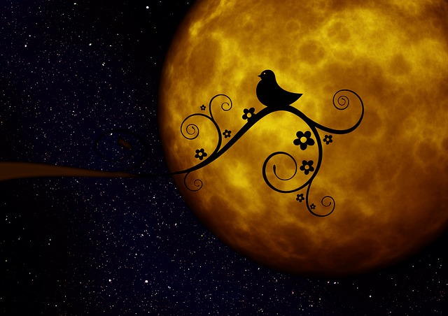 Download free HD stock image of Moon Planet Free moon planet light illustration