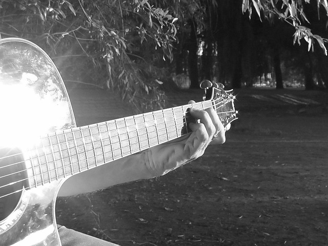 Free Guitar Play Guitar photo and picture