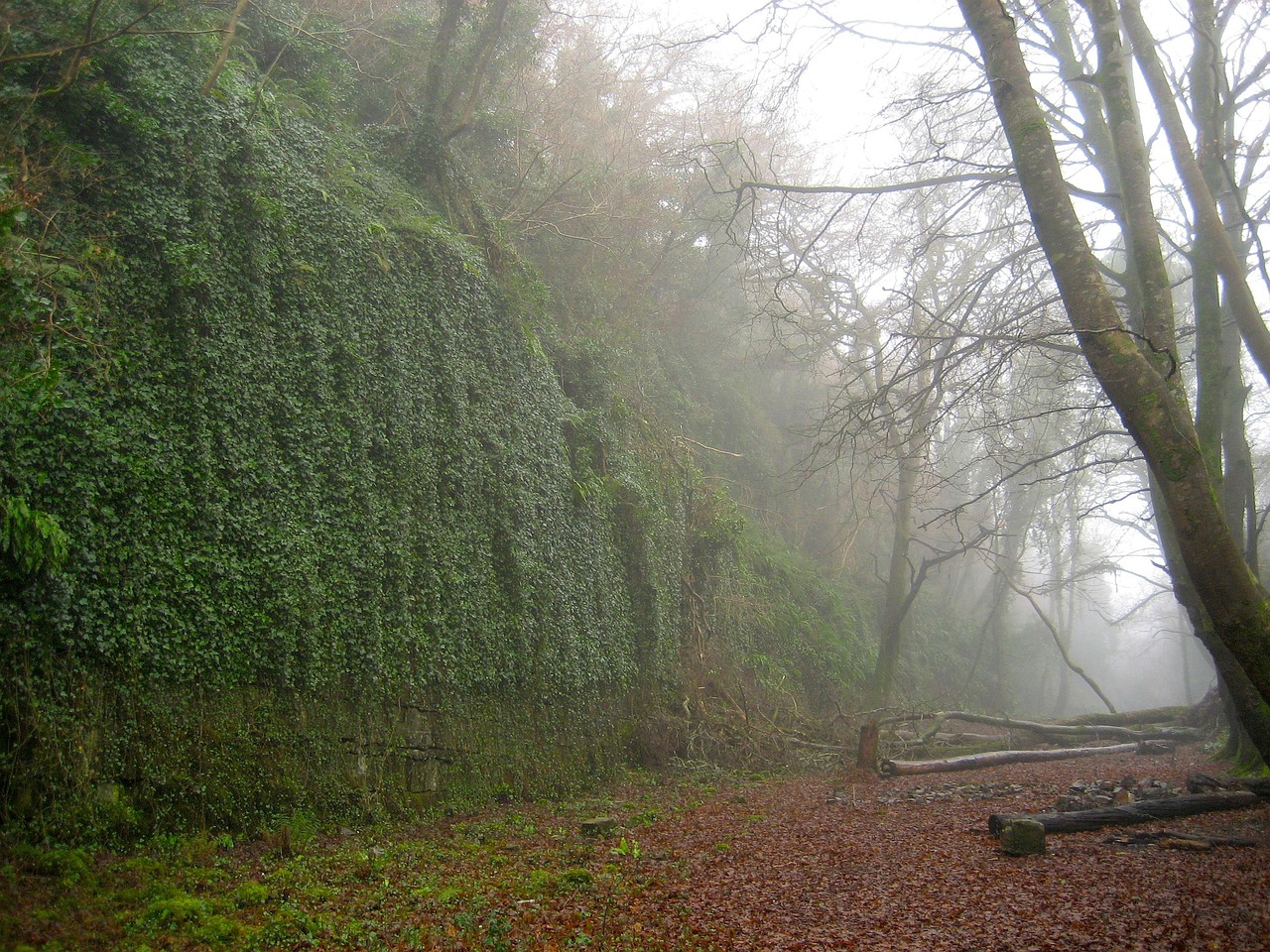 Landscape - free online jigsaw puzzle photo