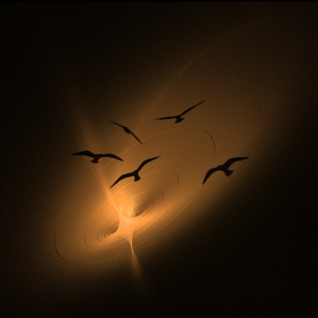 Free birds flock nature illustration