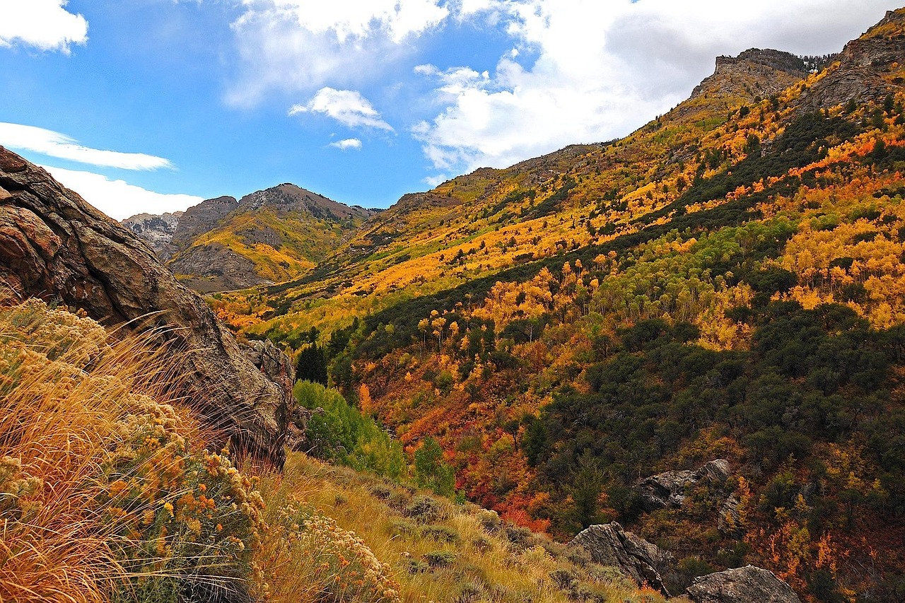 Nevada - free online jigsaw puzzle photo