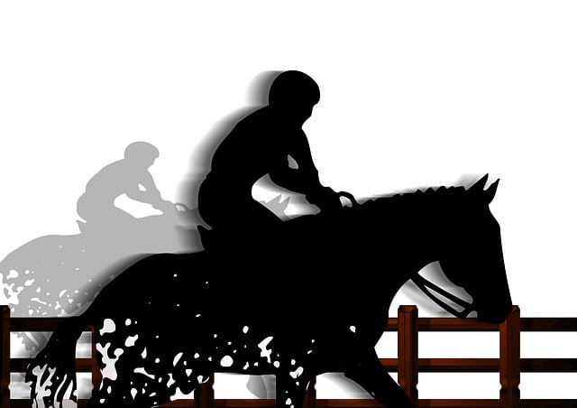 Free horse riding horse equestrian illustration