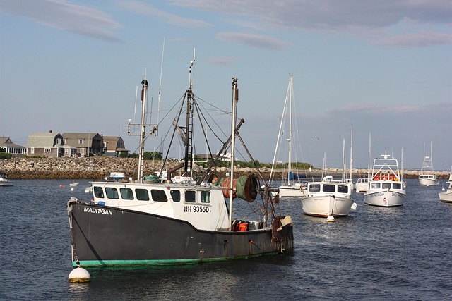 Free Boat Ocean photo and picture
