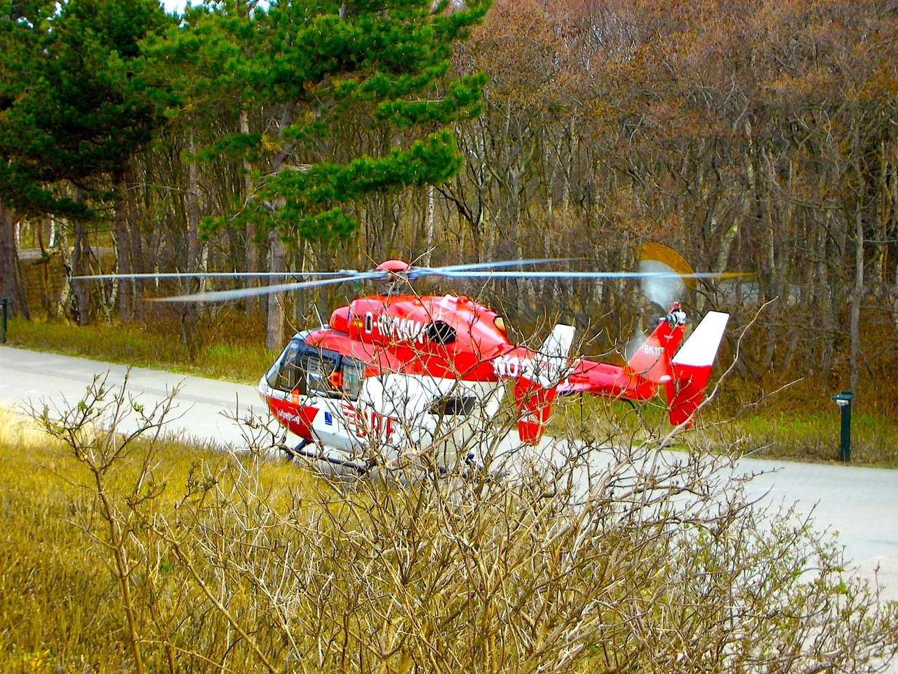 Rescue - free online jigsaw puzzle photo