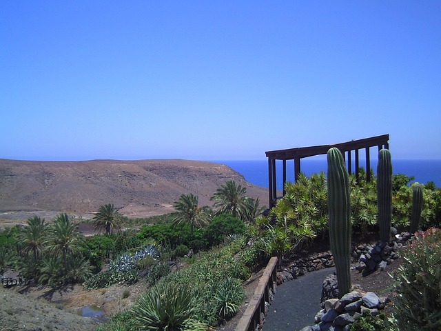Free Fuerteventura Heaven photo and picture