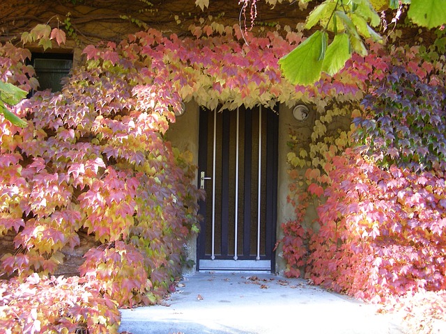 Free Autumn Door Frame photo and picture