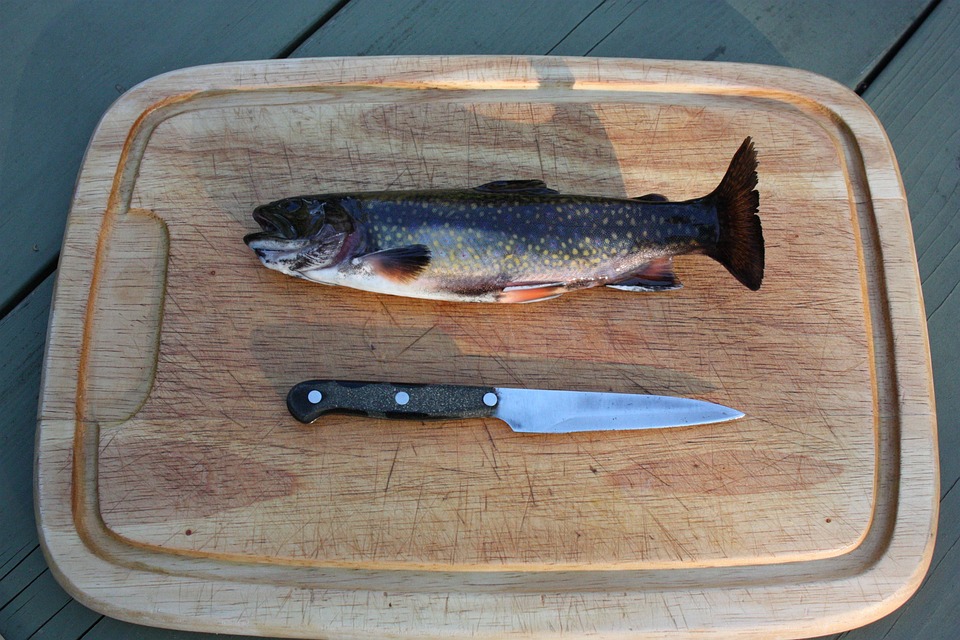 rainbow trout fishing free