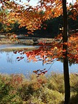 acadia national park, maine, stream