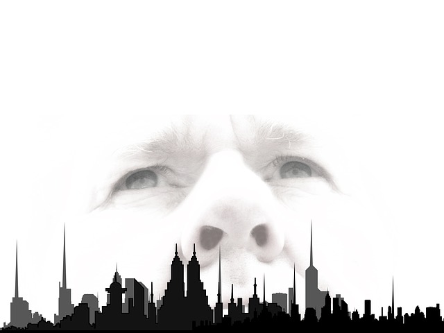 Free silhouette city skyscrapers illustration