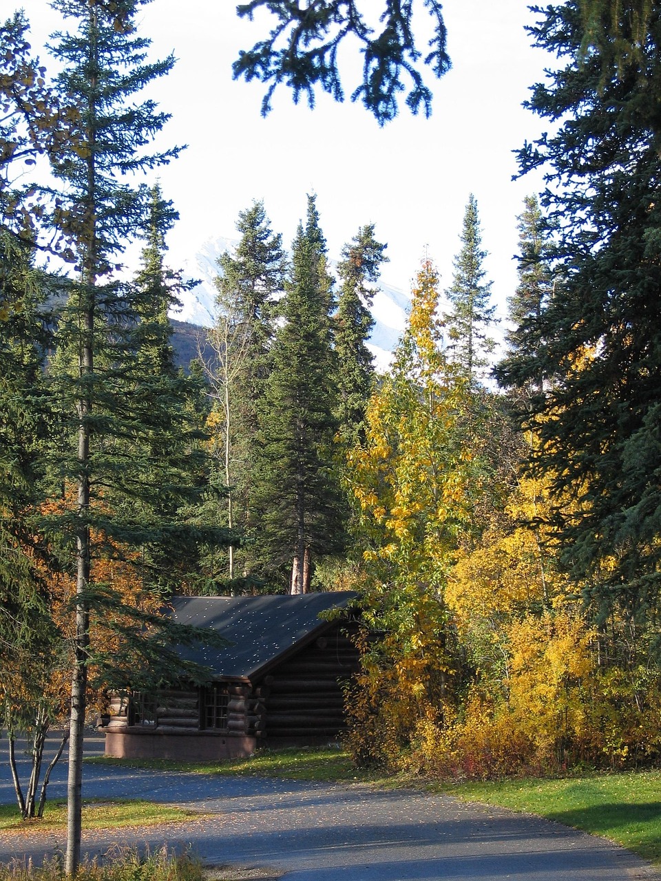 1,000+ Free Alaska & Nature Images Pixabay