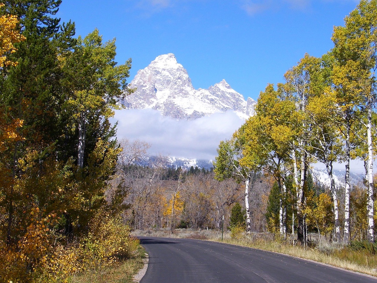 Grand Teton National Park - free online jigsaw puzzle photo