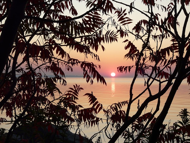Sonnenaufgang, See, Wasser, Silhouette